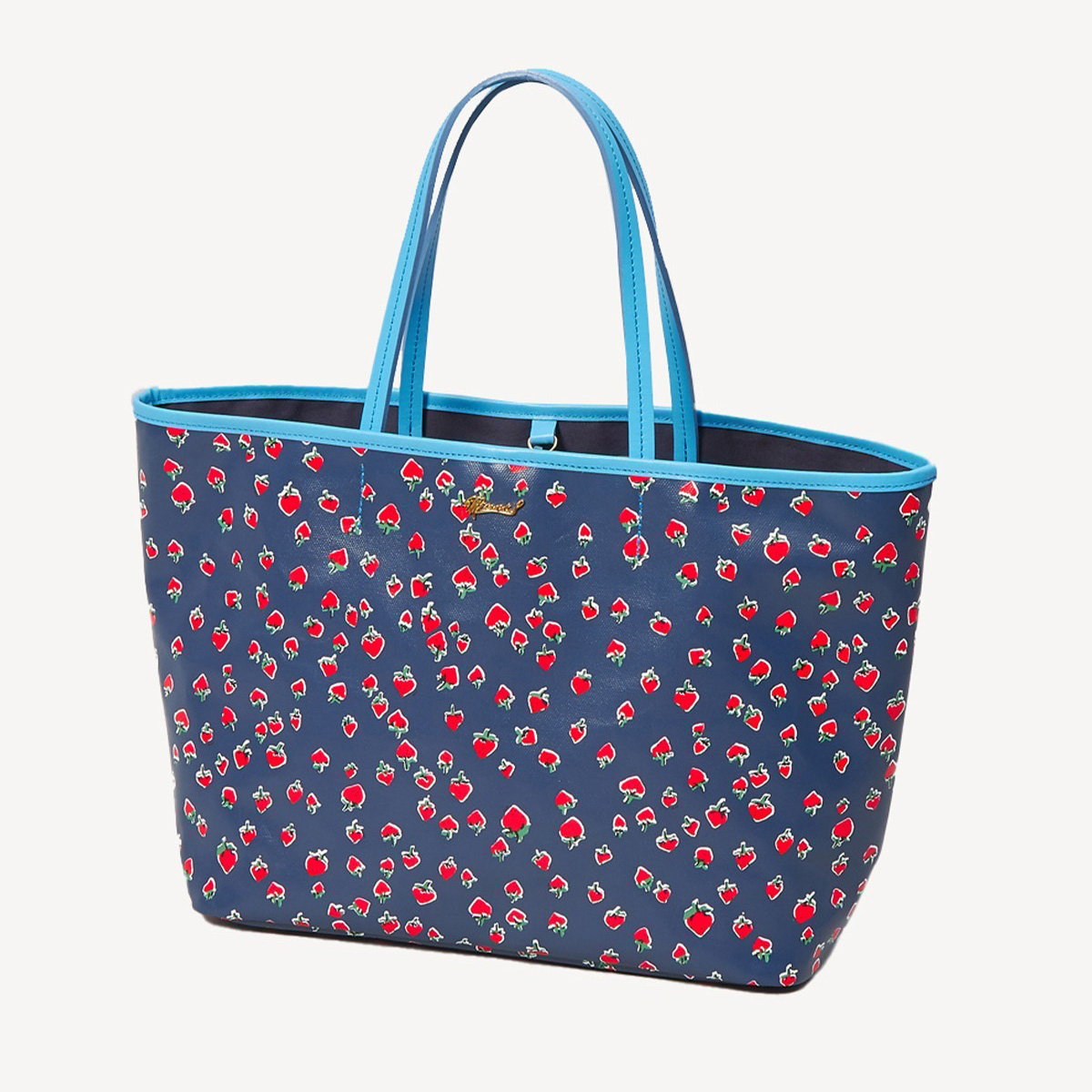 MA81EBG013_var-66-044_LL